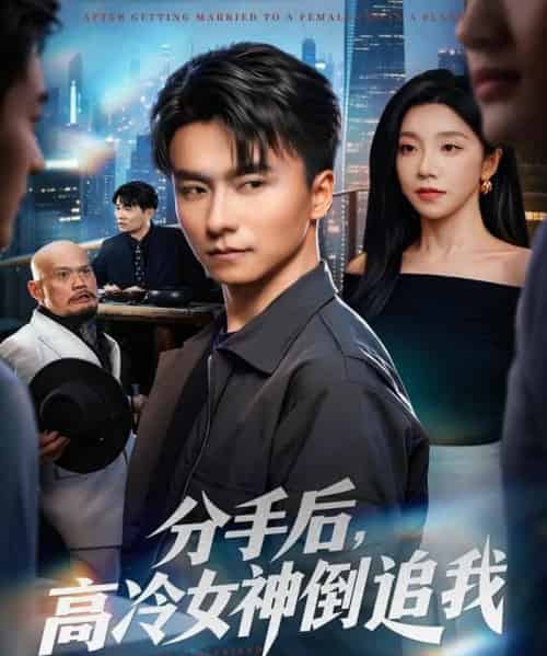 分手后,高冷女神倒追我(80集全)常欣&王振-紫橙网创项目网