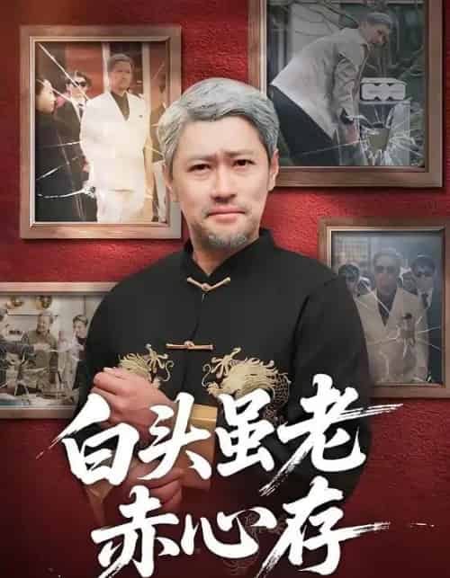 白头虽老赤心存（71集全）王争＆王晨-紫橙网创项目网