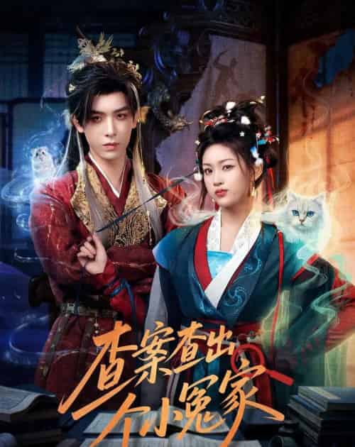 查案查出个小冤家(90集全)黄天崎&谢卓亚-紫橙网创项目网