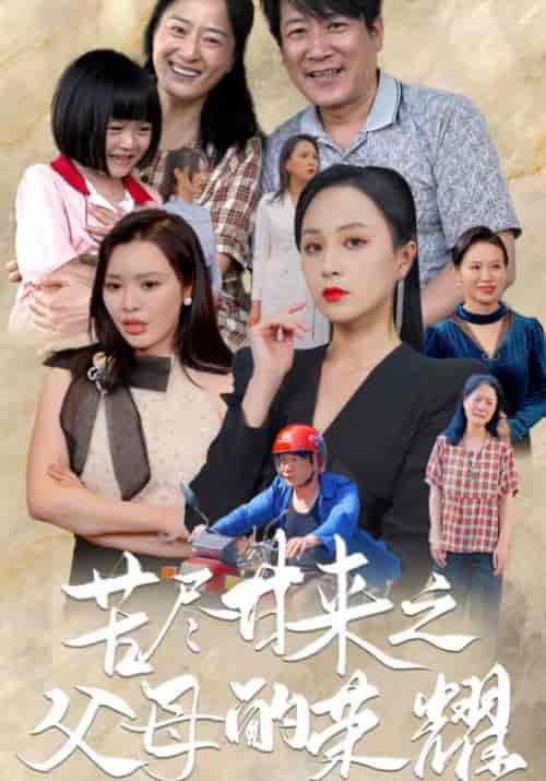 苦尽甘来之父母的荣耀（86集） - 紫橙阁短剧