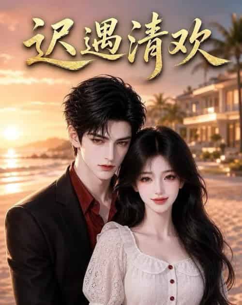 迟遇清欢(38集全)AI-紫橙网创项目网