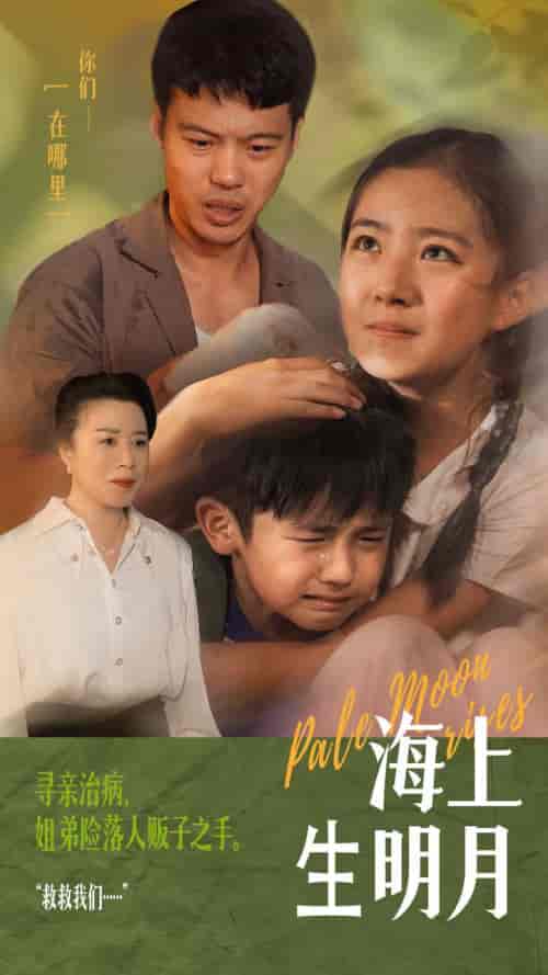 海上生明月（59集） - 紫橙阁短剧