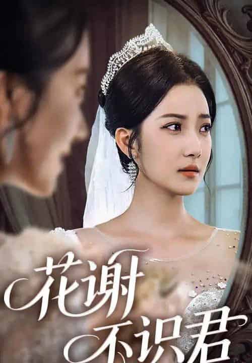 花谢不识君(40集)段文鹏&贾金赛-紫橙网创项目网