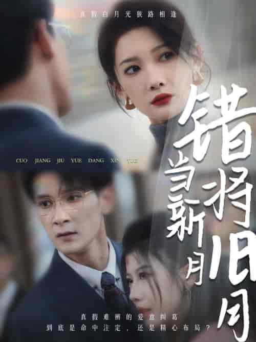 错将旧月当新月（35集全） - 紫橙阁短剧