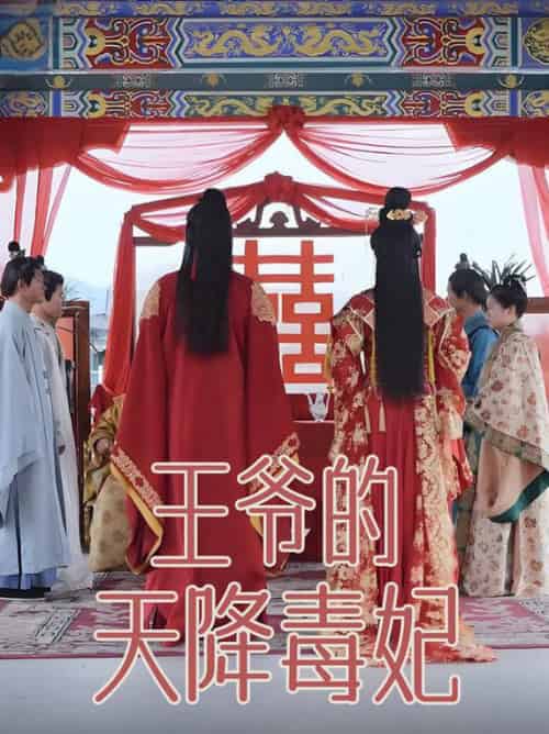 王爷的天降毒妃（73集全）樊纾宁 - 紫橙阁短剧