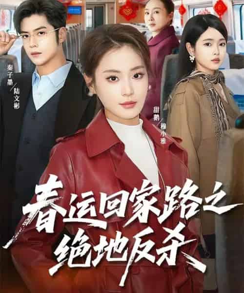 春运回家路之绝地反杀（59集全）秦子墨＆甜鹅-紫橙网创项目网
