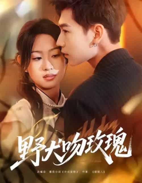 野犬吻玫瑰（70集全）王继冉＆孙园静-紫橙网创项目网