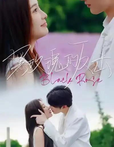 黑玫瑰的反击（47集全）裘哲夫＆焦娇 - 紫橙阁短剧