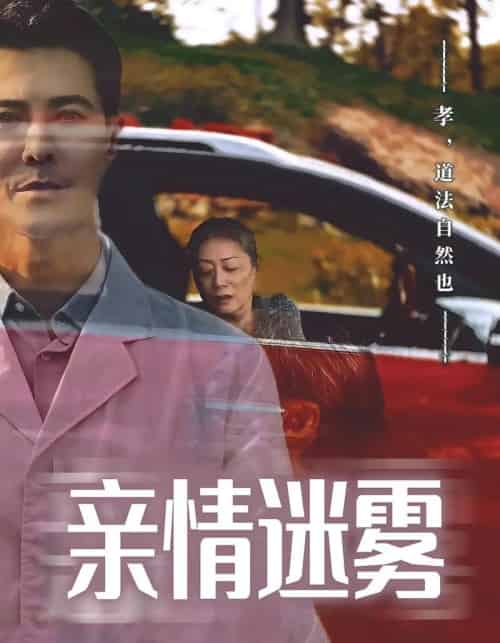 亲情迷雾（30集）-紫橙网创项目网