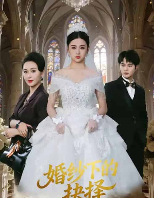 婚纱下的抉择(60集全)周政&刘韶祎-紫橙网创项目网