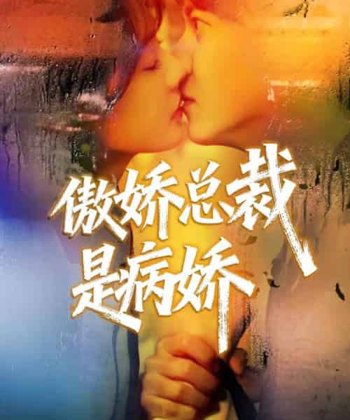 傲娇总裁是病娇（77集全）王夏桥＆姚凯辰-紫橙网创项目网