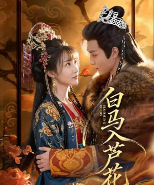 白马入芦花(59集全)纪忠庆&杨舒亦-紫橙网创项目网