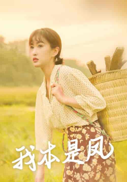 我本是凤（66集全）张亮＆秦芳 - 紫橙阁短剧