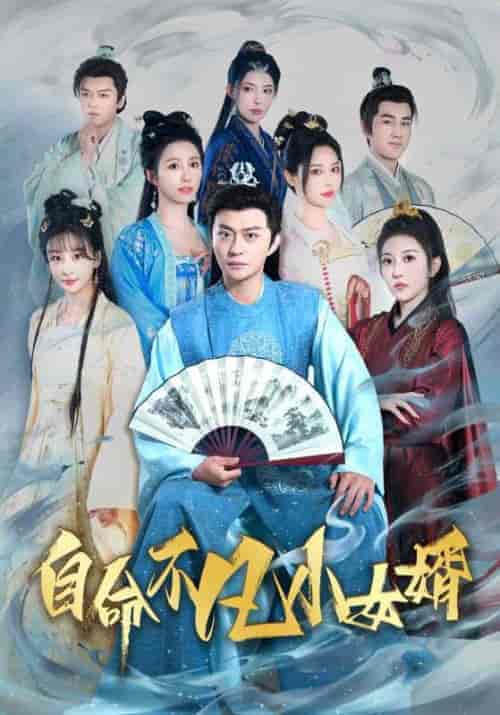 自命不凡小女婿 自命不凡小女婿