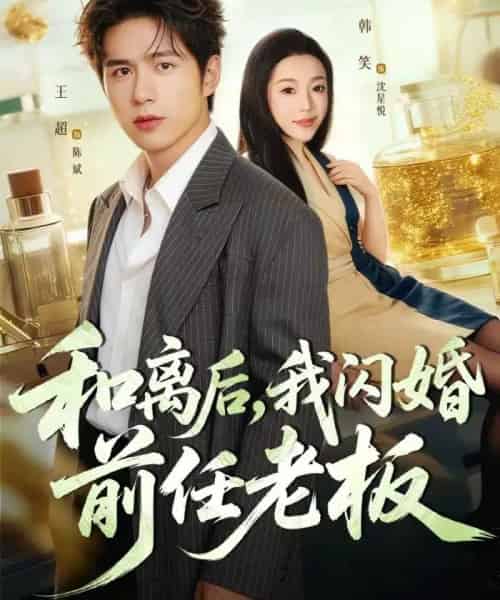 和离后，我闪婚前任老板（77集全）王超＆韩笑-紫橙网创项目网