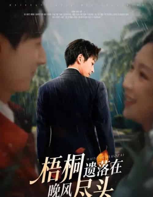 梧桐遗落在晚风尽头＆棠花不识旧时月（71集全）赵琪＆蒋未-紫橙网创项目网