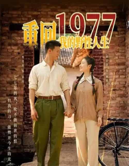 重回1977我的野性人生（83集）柴昊辰＆徐忠慧 - 紫橙阁短剧