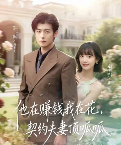 他在赚钱我在花，契约夫妻顶呱呱（79集全）苏畅＆成梓宁-紫橙网创项目网