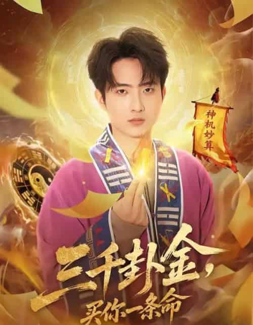 三千卦金,买你一条命(70集全)曹文靖&魏伯祥-紫橙网创项目网