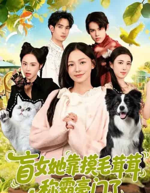 盲女她靠摸毛茸茸称霸豪门了(84集全)陈洁怡&范骏羽-紫橙网创项目网