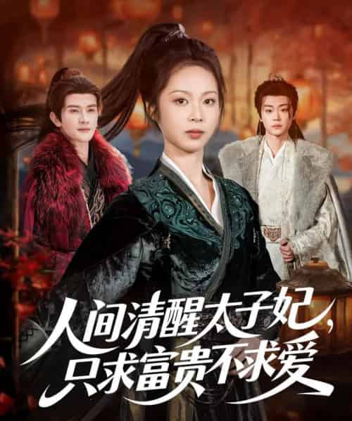 人间清醒太子妃,只求富贵不求爱(60集全)陈冠峄&姚慧-紫橙网创项目网