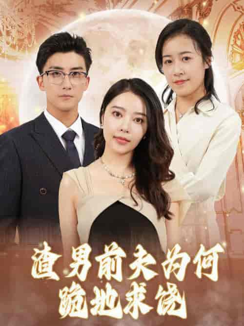 渣男前夫为何跪地求饶（30集全） - 紫橙阁短剧