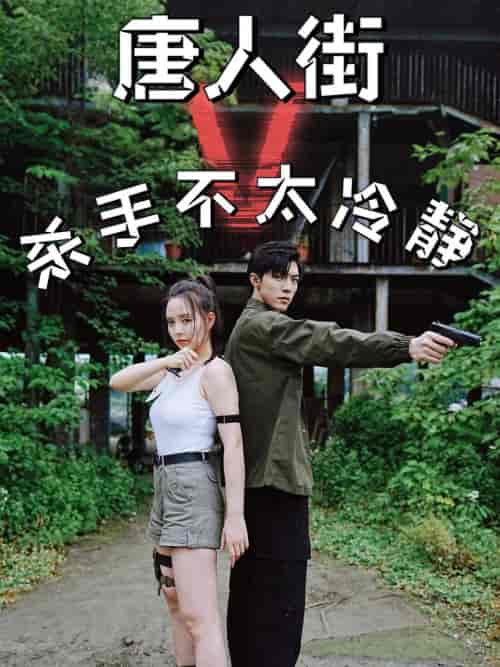 唐人街杀手不太冷静（20集）-紫橙网创项目网