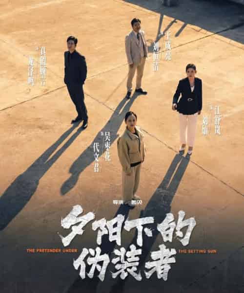 夕阳下的伪装者(47集全)刘灿&龙泽鸣-紫橙网创项目网