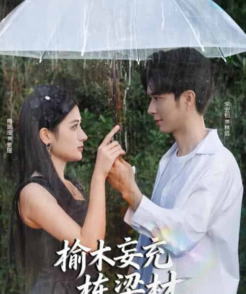 榆木妄充栋梁材(88集全)朱宏钊&梅瑞滢-紫橙网创项目网