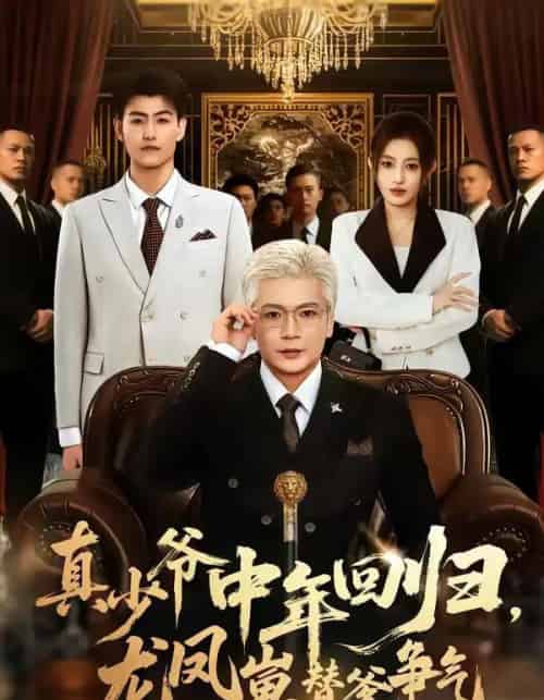 真少爷中年回归，龙凤崽替爹争气（76集全）朱艺莉＆李萌-紫橙网创项目网