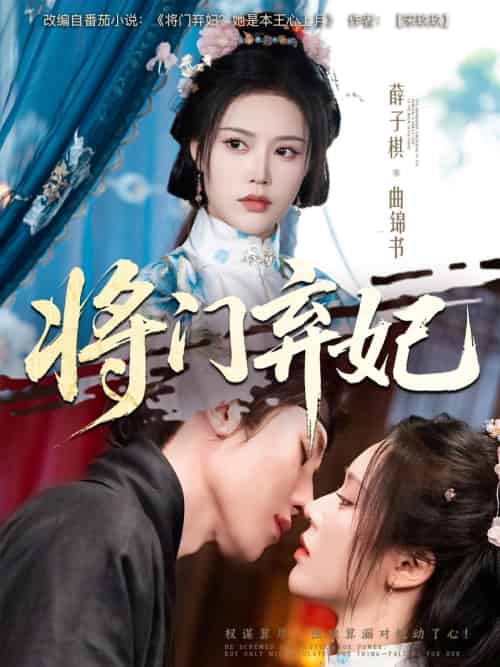将门弃妃 将门弃妃
