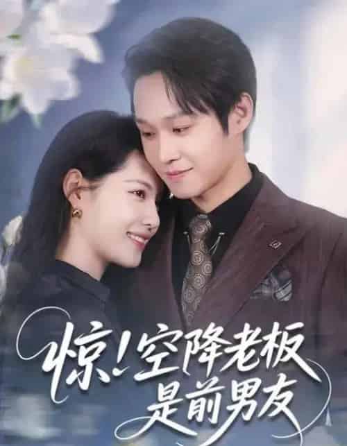 惊！空降老板是前男友（65集全）董洁＆王金泽-紫橙网创项目网