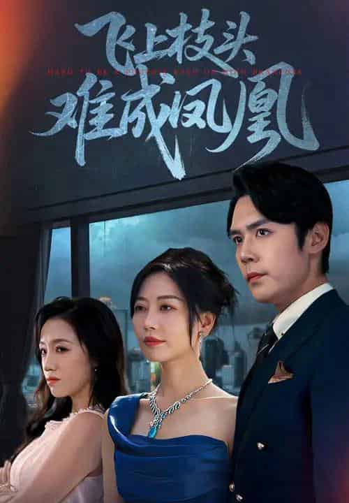 飞上枝头难成凤凰（47集全）刘清心＆王亦宸-紫橙网创项目网