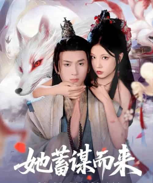 她蓄谋而来（59集）陈彦霖＆徐漫宁 - 紫橙阁短剧