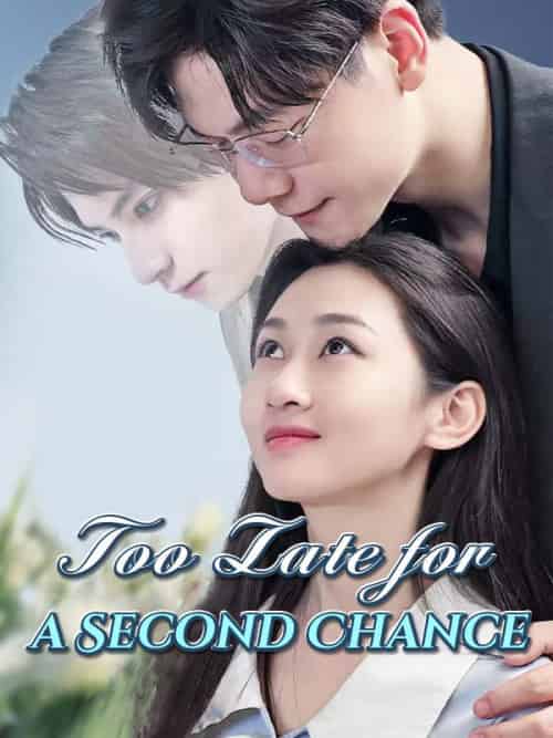 Too Late for a Second Chance（80集全）Nancy＆Roberts＆＆Daniel＆Smith - 紫橙海外短剧