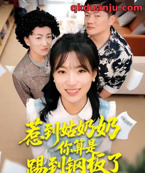 惹到姑奶奶你算是踢到钢板了（103集全）袁莉娜＆郑道贞-紫橙网创项目网