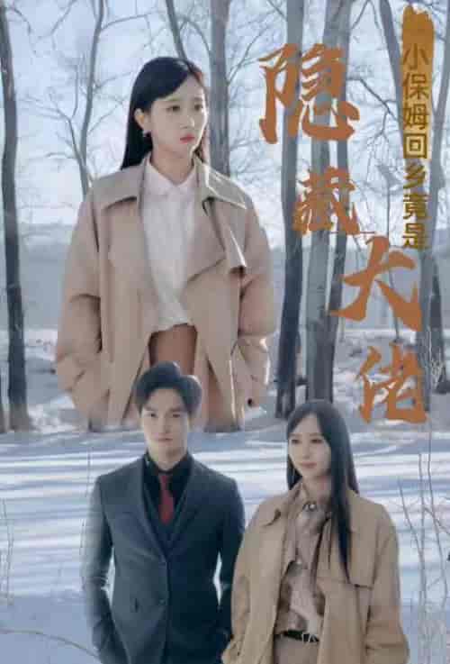 小保姆回乡竟是隐藏大佬（80集） - 紫橙阁短剧