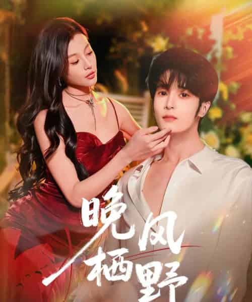 晚风栖野(80集全)林昱希&椿添-紫橙网创项目网