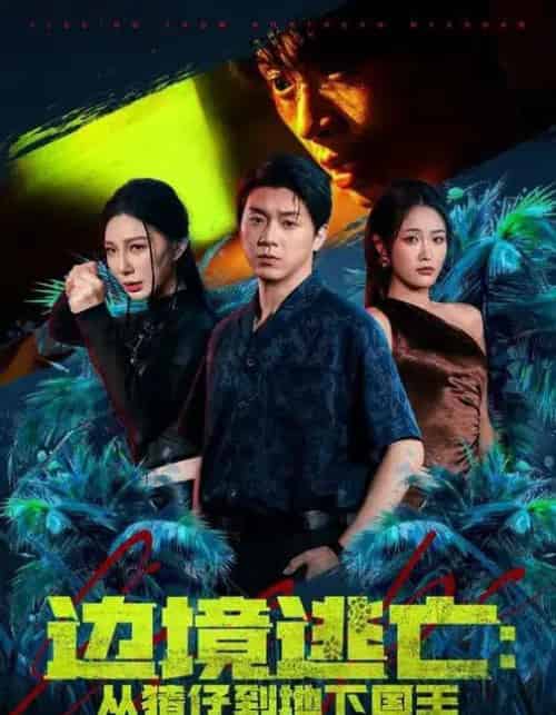边境逃亡：从猪仔到地下国王（81集全）刘洋珂＆刘星辰-紫橙网创项目网