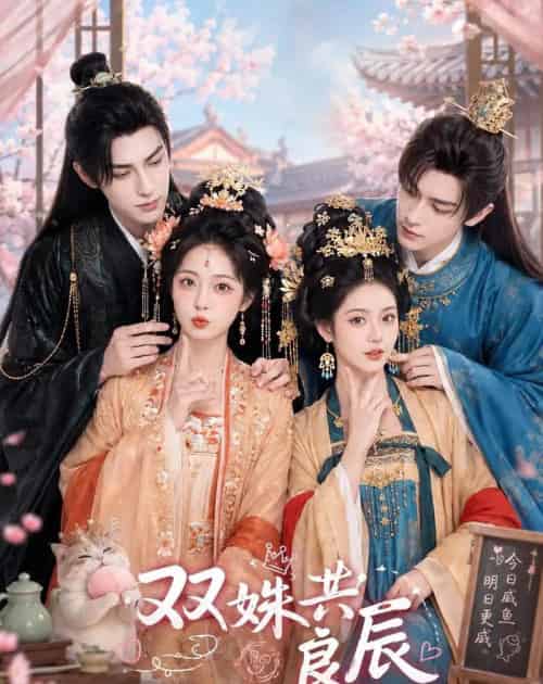 双姝共良辰(50集全)AI-紫橙网创项目网