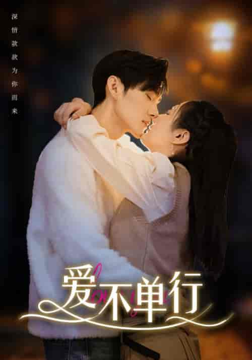 爱不单行（102集） - 紫橙阁短剧