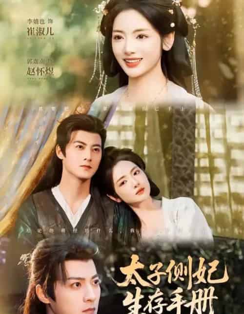太子侧妃生存手册（63集全）郭迦南＆李婧也-紫橙网创项目网