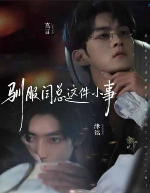 驯服闫总这件小事（58集全）嘉言＆津铭-紫橙网创项目网