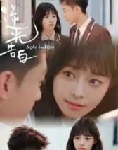 逆光告白 逆光告白