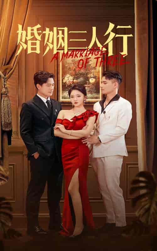 婚姻三人行（31集全） - 紫橙阁短剧