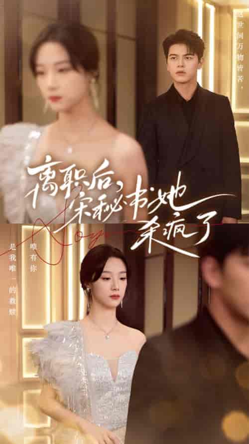 离职后，宋秘书她杀疯了（71集全）佐铭 - 紫橙阁短剧