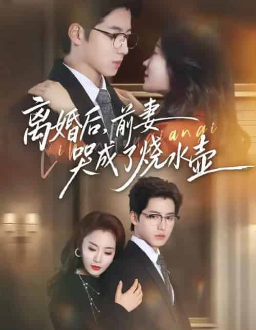 离婚后，前妻哭成了烧水壶（60集全）甜鹅＆董星岩-紫橙网创项目网