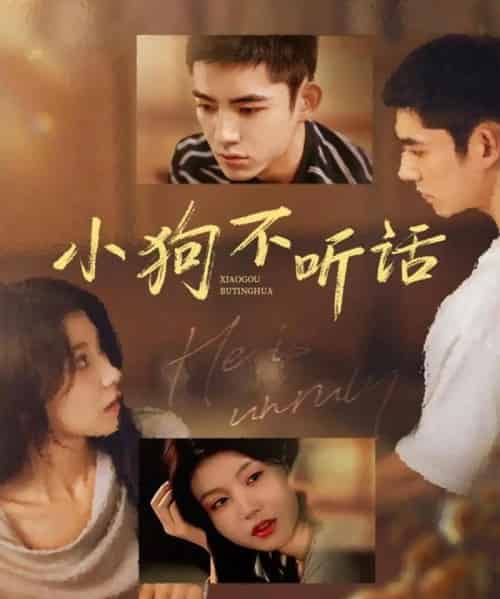 小狗不听话(70集全)马浩东&何田田-紫橙网创项目网