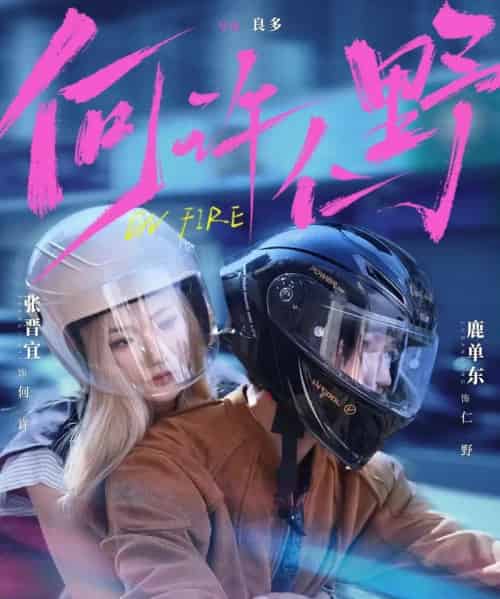 何许仁野（60集全）鹿单东＆张晋宜-紫橙网创项目网