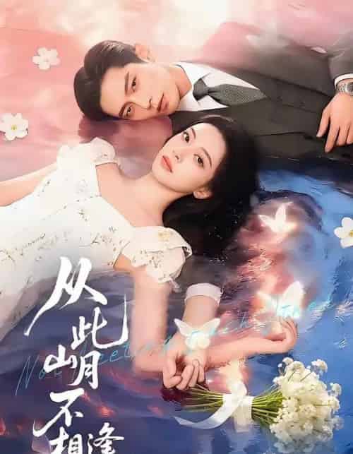 从此山月不相逢（71集全）AI-紫橙网创项目网